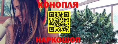 прущие крисы Можга