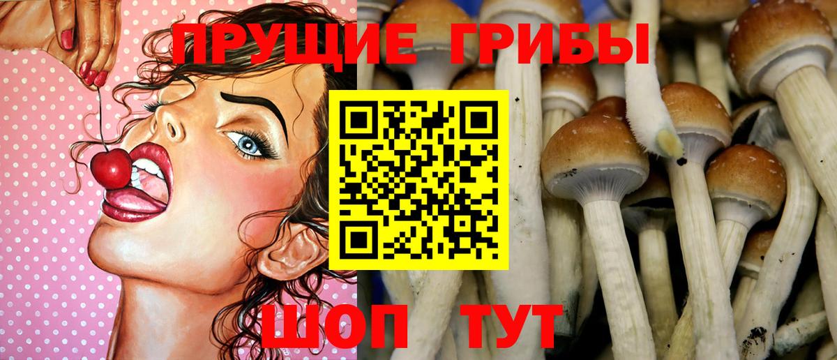 Псилоцибиновые грибы ЛСД  Вход с VPN  Псилоцибиновые грибы Magic Shrooms  Серпухов 